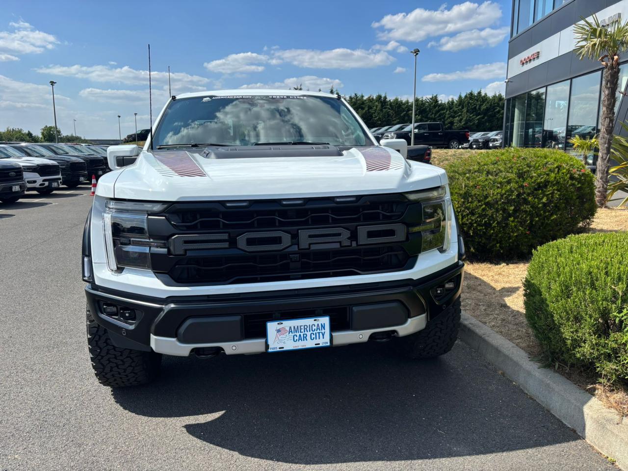 FORD F150 RAPTOR