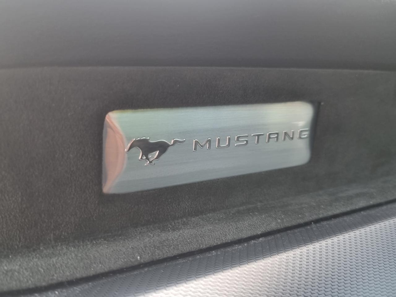 FORD MUSTANG Fastback GT 5.0L V8 450ch MAGNERIDE