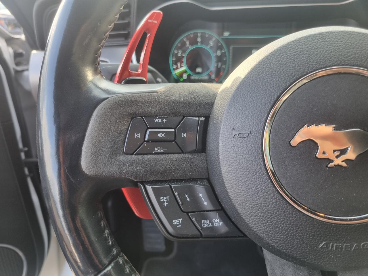 FORD MUSTANG Fastback GT 5.0L V8 450ch MAGNERIDE