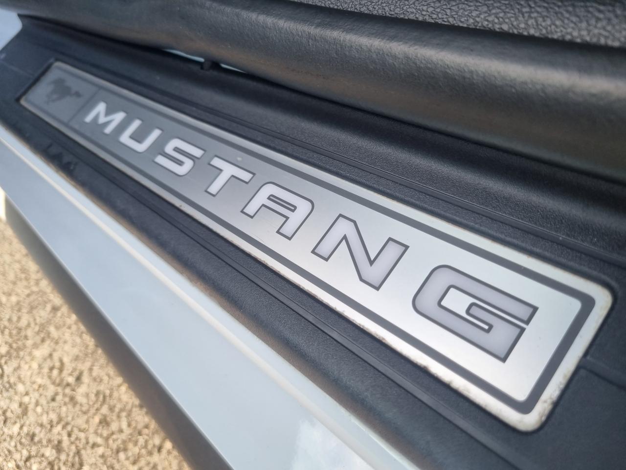 FORD MUSTANG Fastback GT 5.0L V8 450ch MAGNERIDE