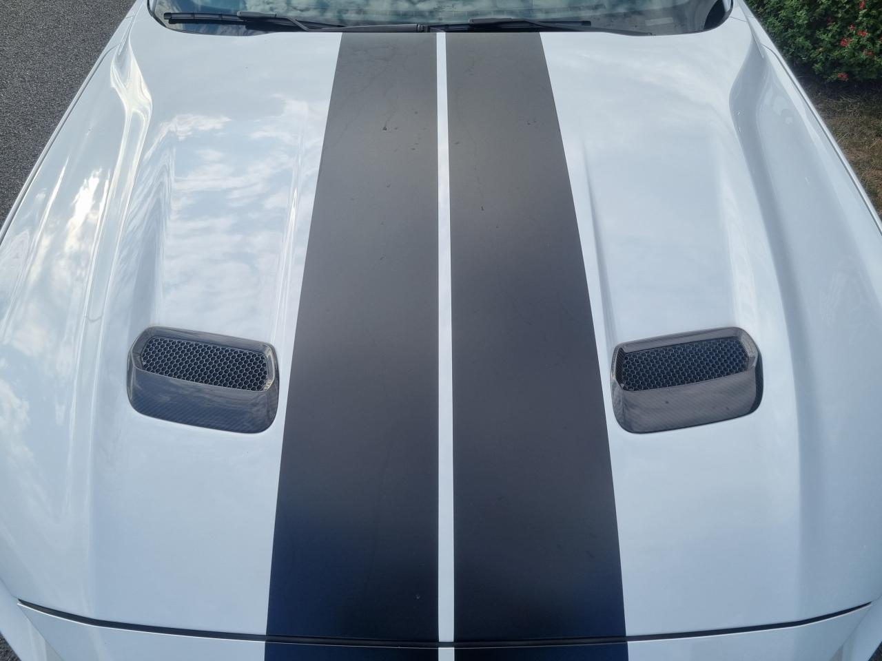 FORD MUSTANG Fastback GT 5.0L V8 450ch MAGNERIDE