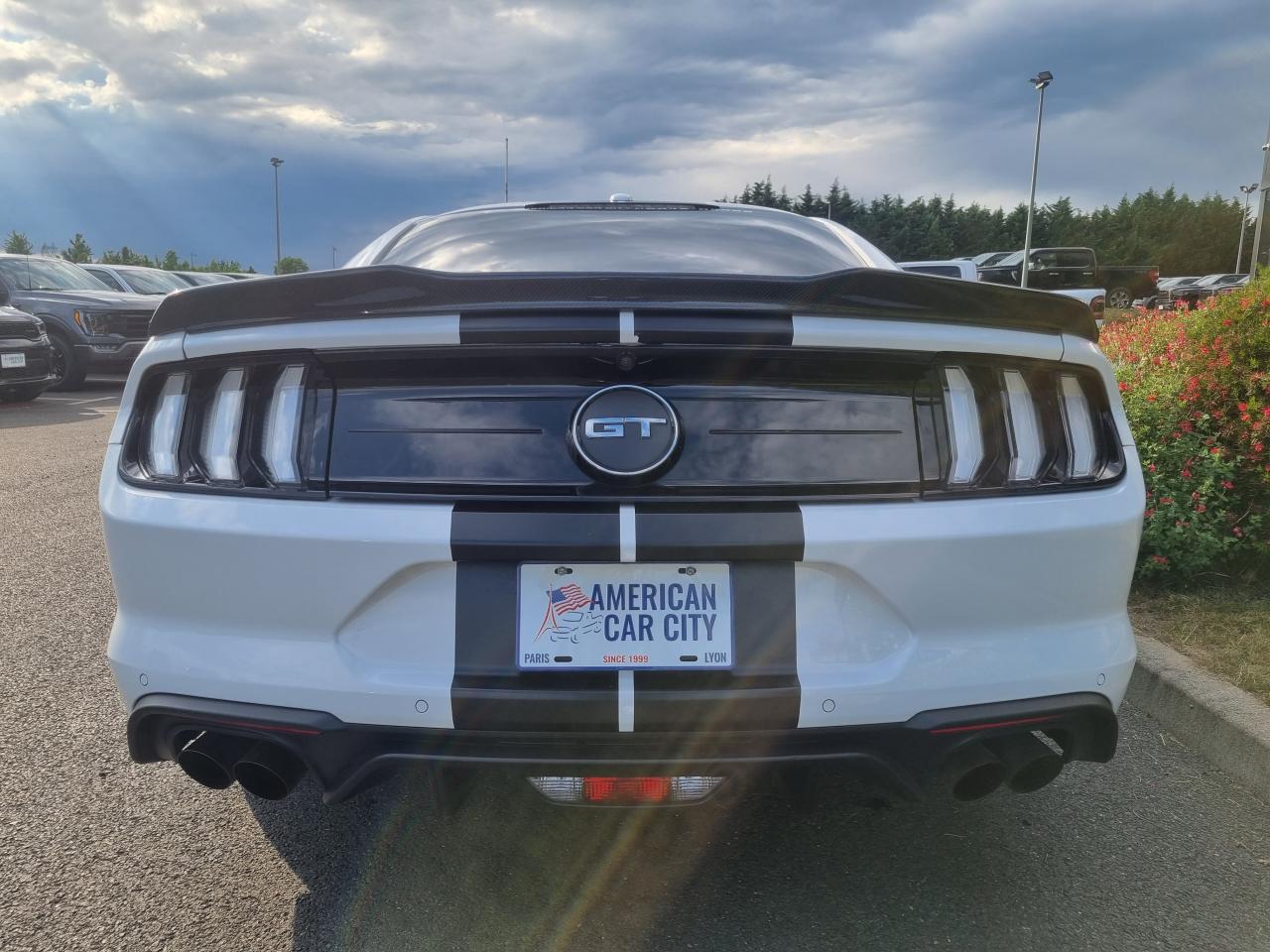 FORD MUSTANG Fastback GT 5.0L V8 450ch MAGNERIDE