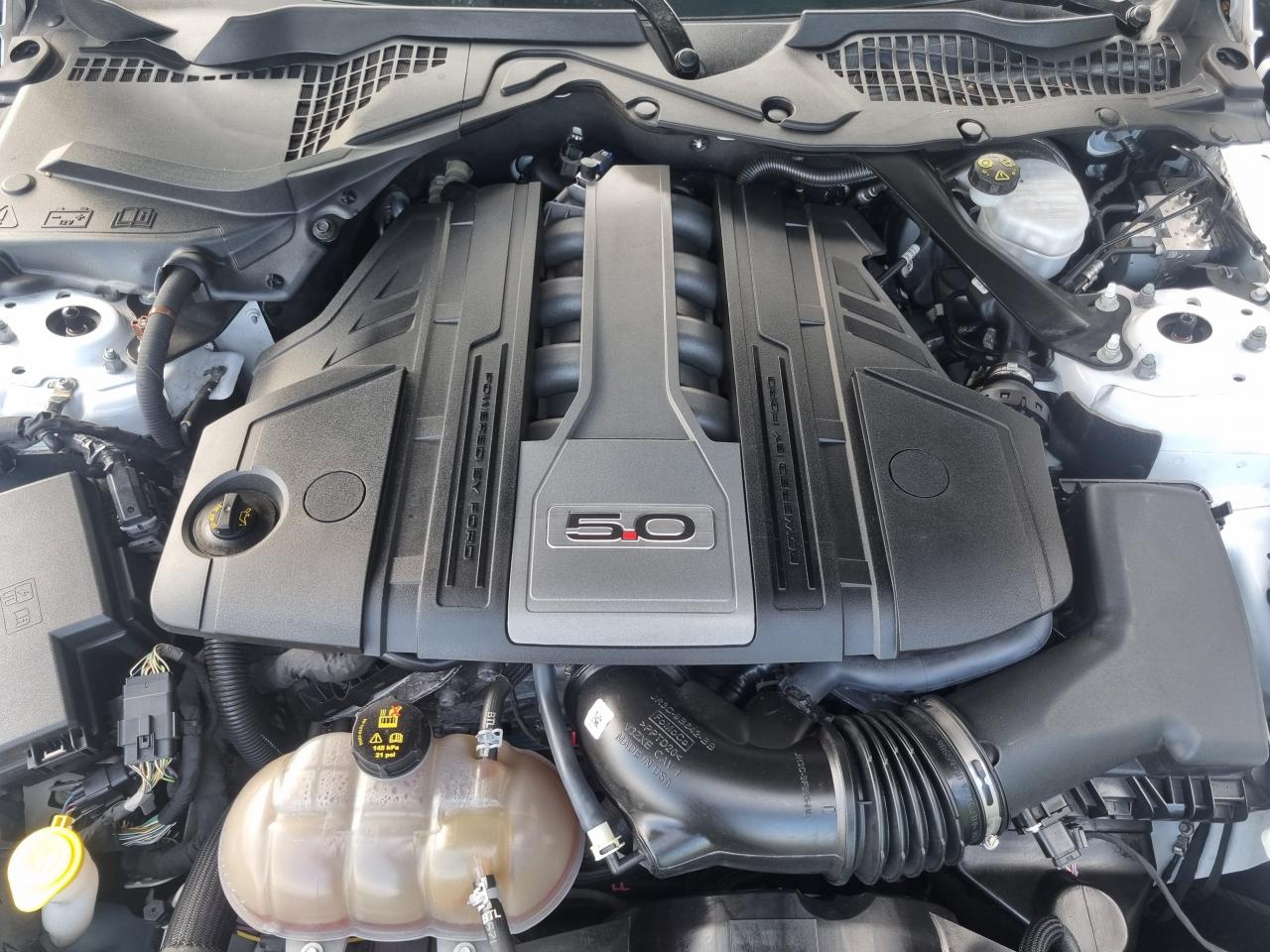 FORD MUSTANG Fastback GT 5.0L V8 450ch MAGNERIDE