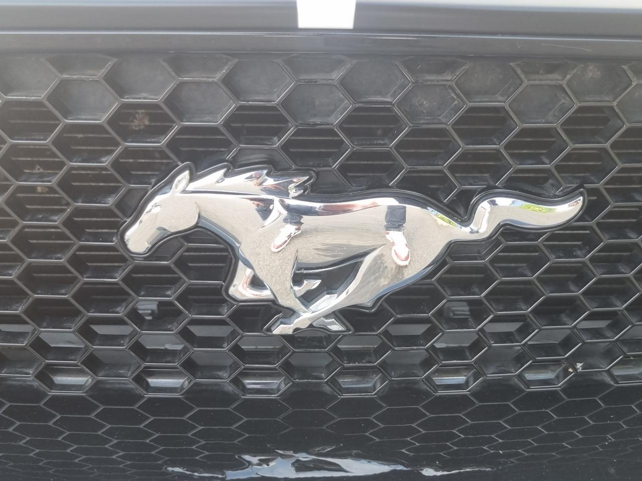 FORD MUSTANG Fastback GT 5.0L V8 450ch MAGNERIDE