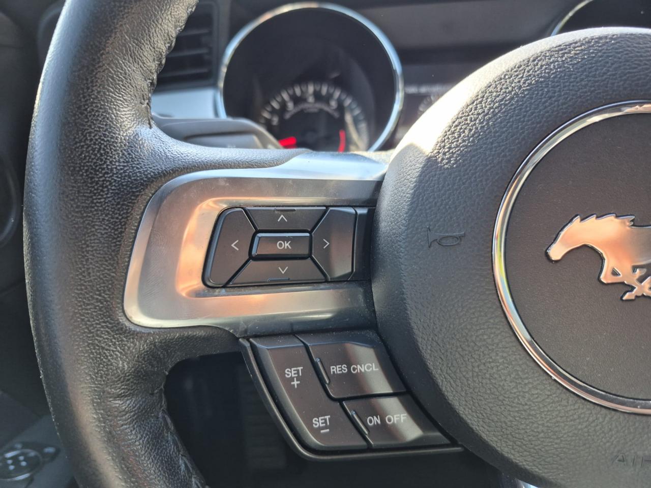 FORD MUSTANG GT FASTBACK V8 5.0L