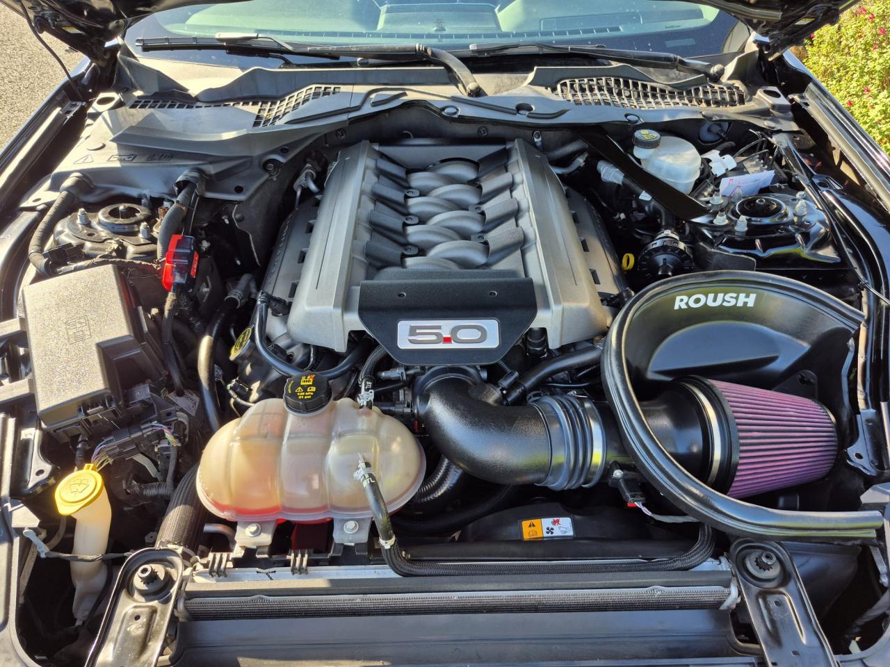 FORD MUSTANG GT FASTBACK V8 5.0L