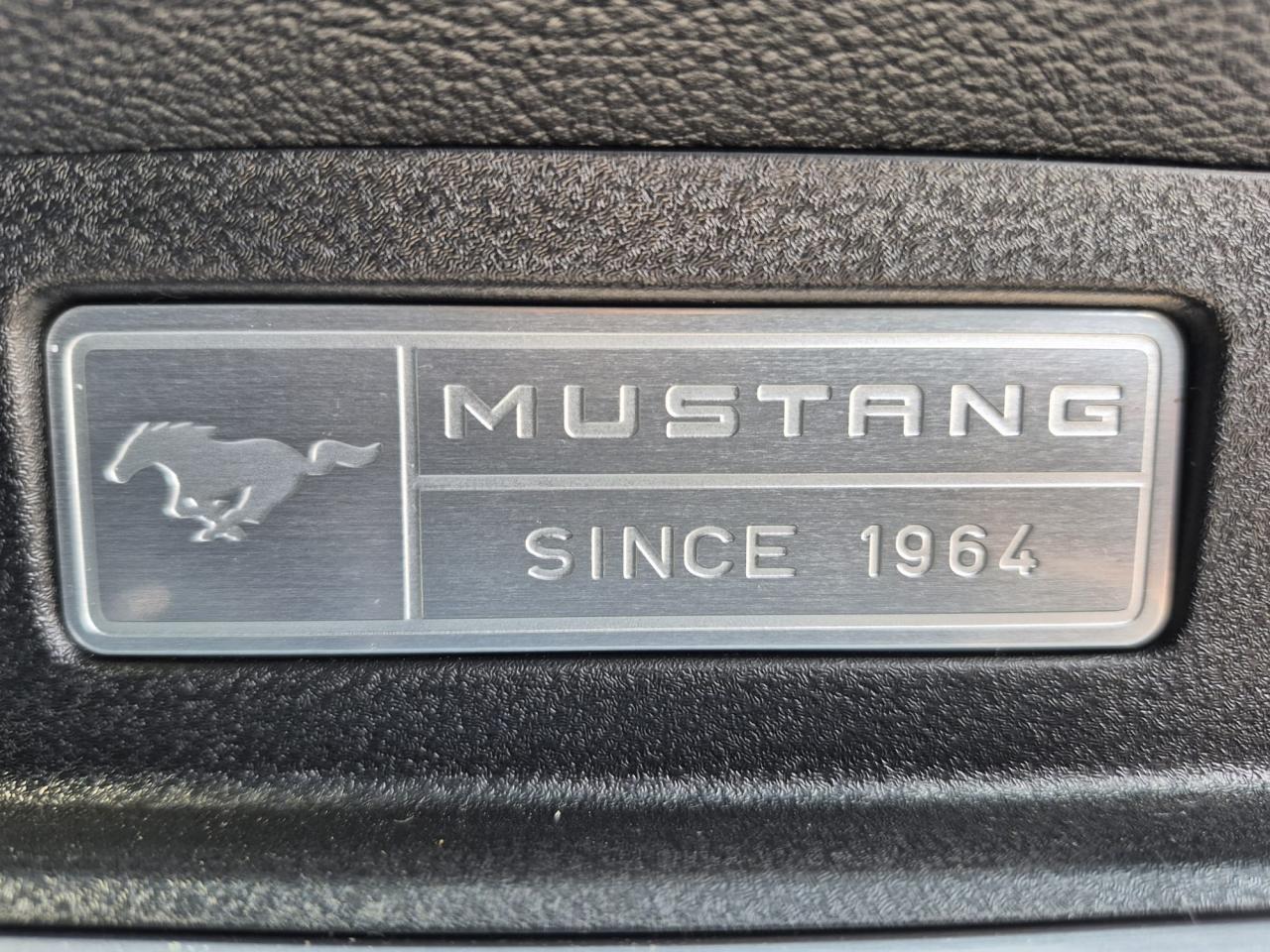 FORD MUSTANG GT FASTBACK V8 5.0L