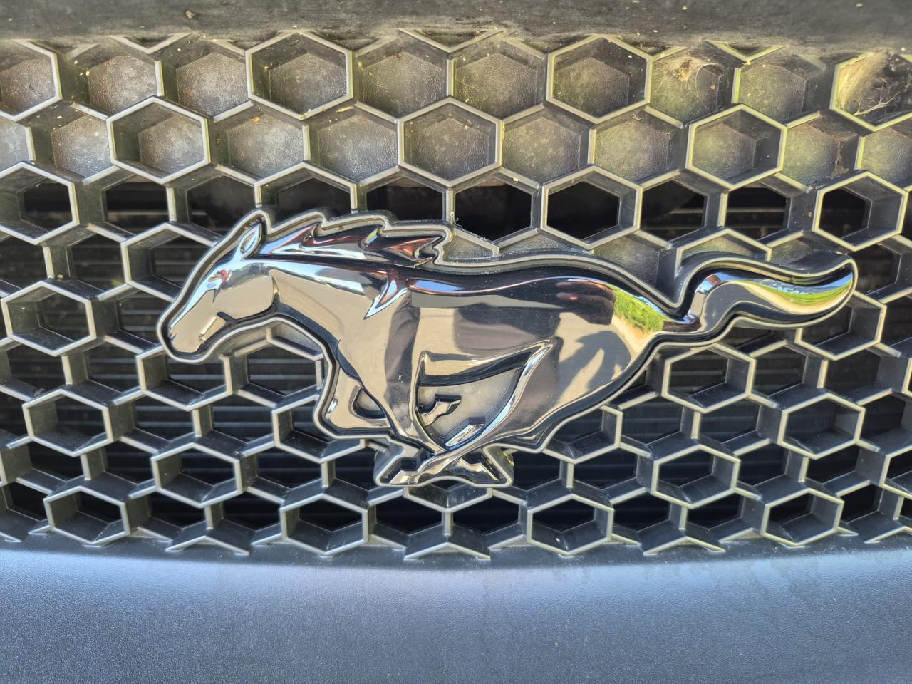 FORD MUSTANG GT FASTBACK V8 5.0L