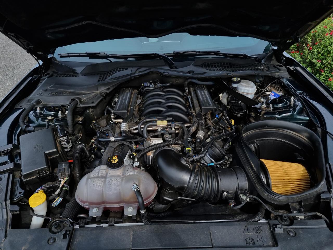 FORD MUSTANG Fastback 5.0 V8 - BULLITT