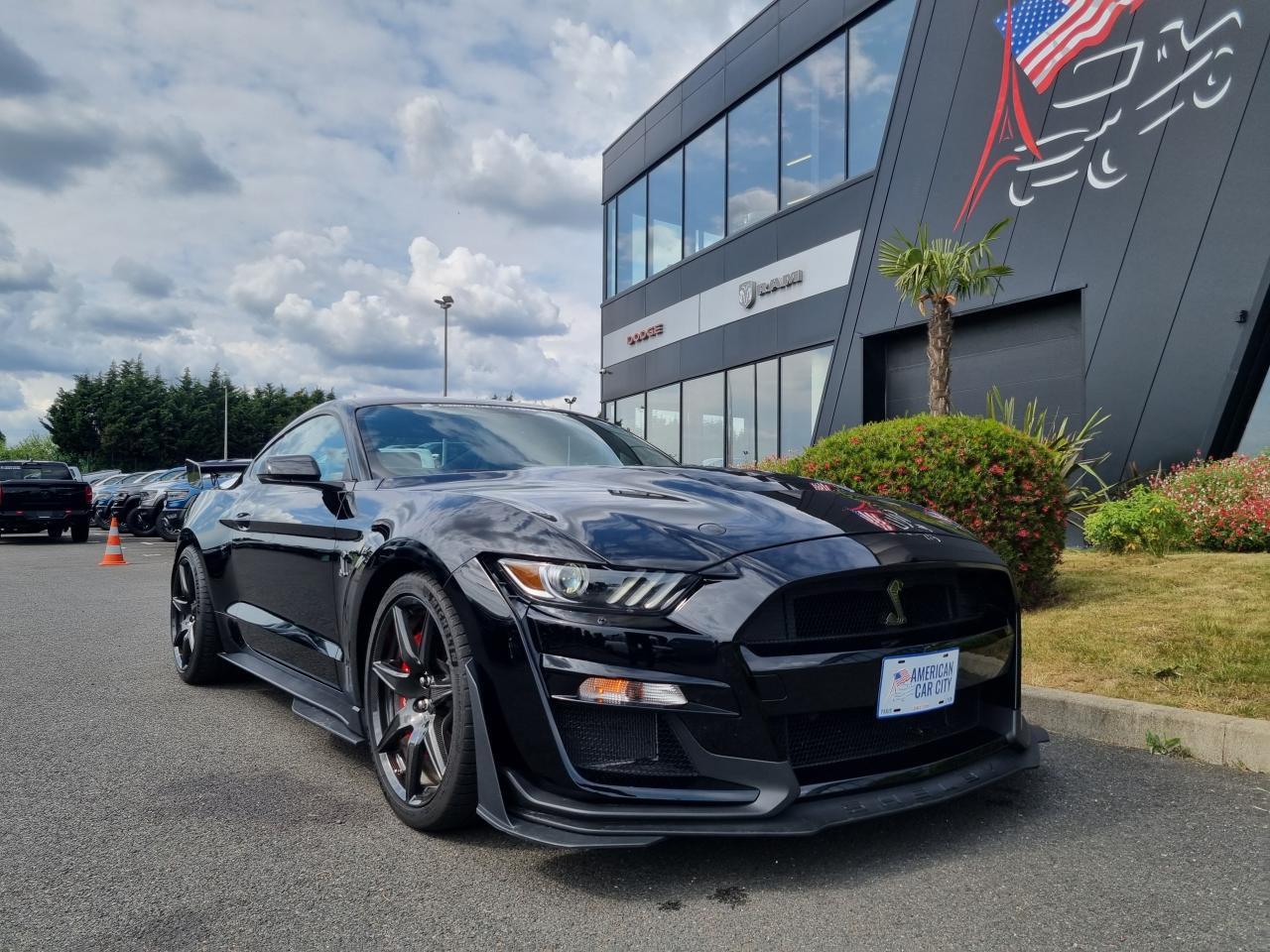 FORD MUSTANG Shelby GT500 TRACK PACK FULL CARBON PACKAGE
