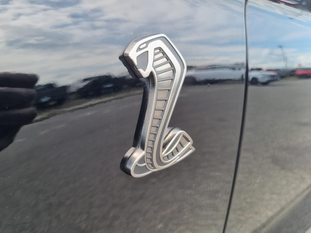 FORD MUSTANG Shelby GT500 TRACK PACK FULL CARBON PACKAGE