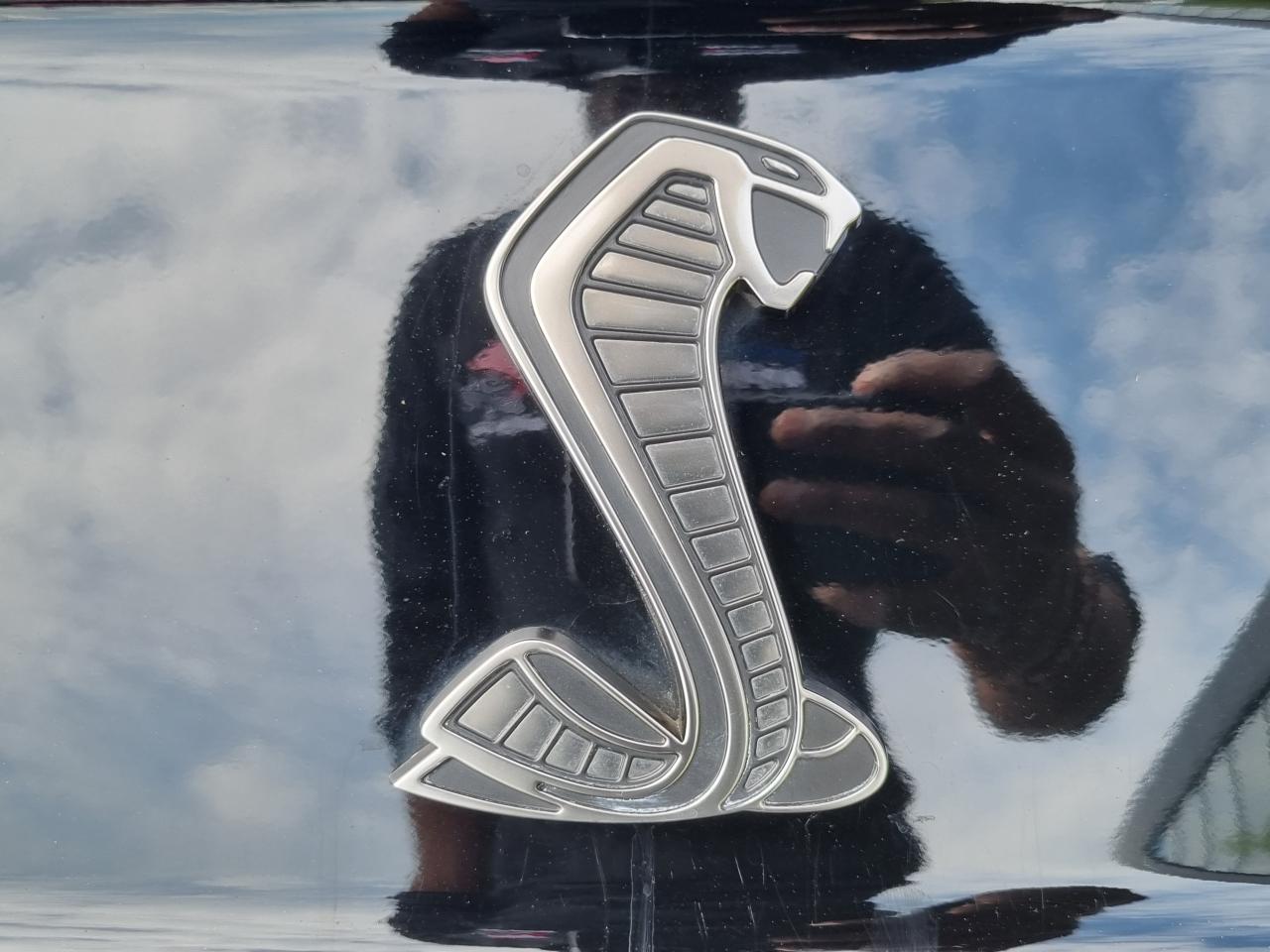 FORD MUSTANG Shelby GT500 TRACK PACK FULL CARBON PACKAGE