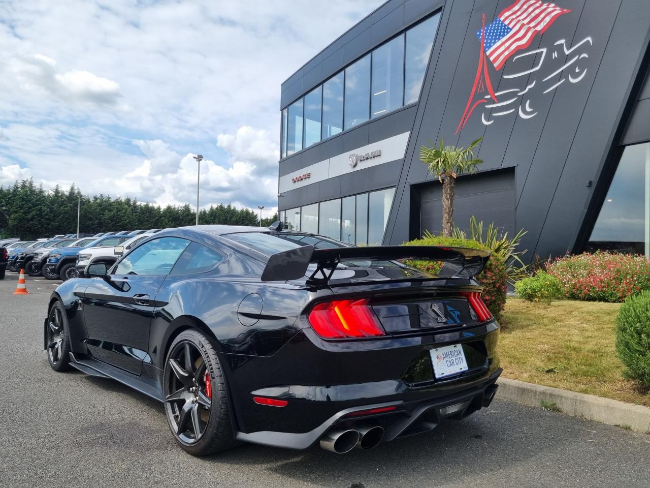 FORD MUSTANG Shelby GT500 TRACK PACK FULL CARBON PACKAGE