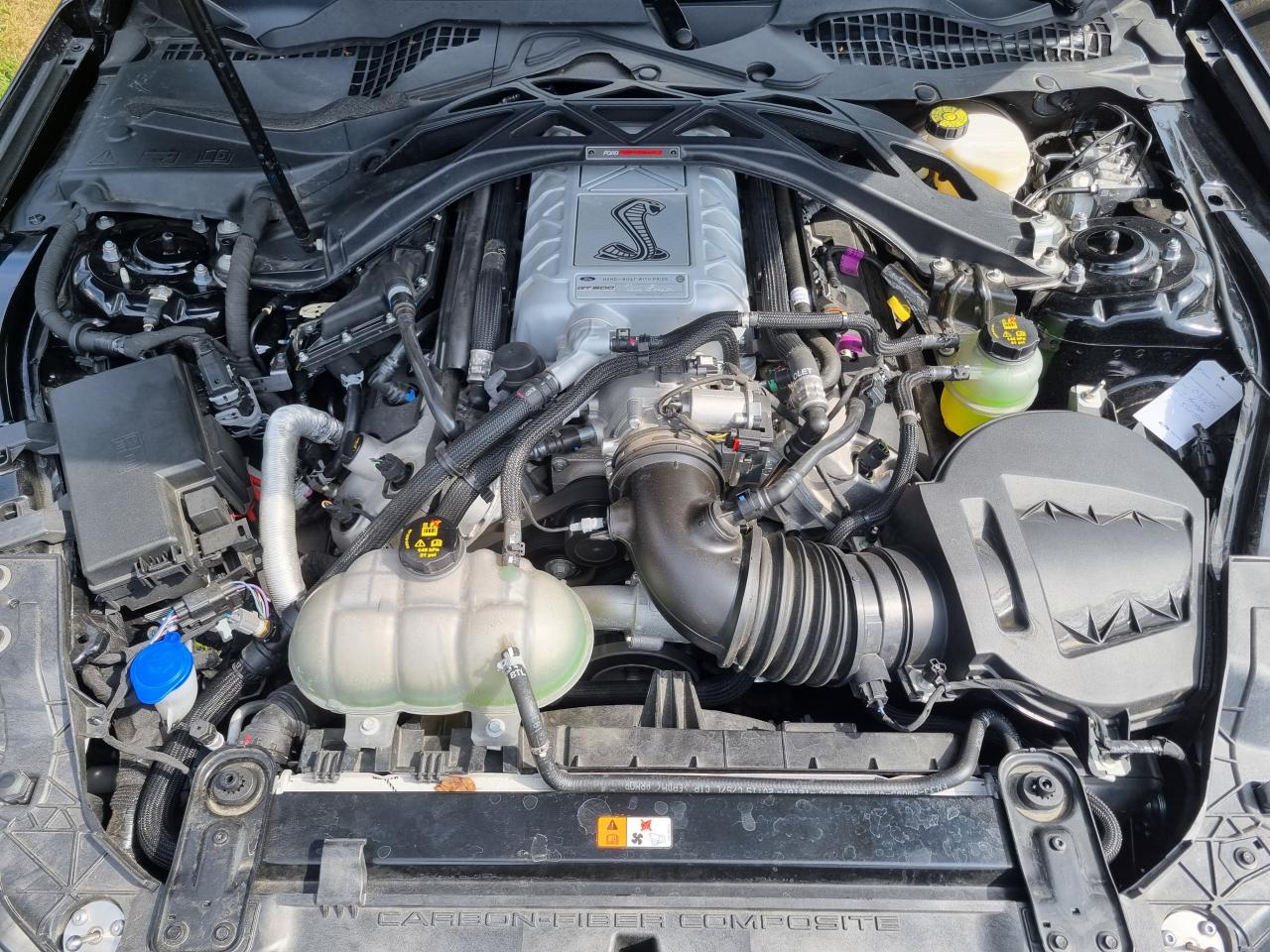 FORD MUSTANG Shelby GT500 TRACK PACK FULL CARBON PACKAGE