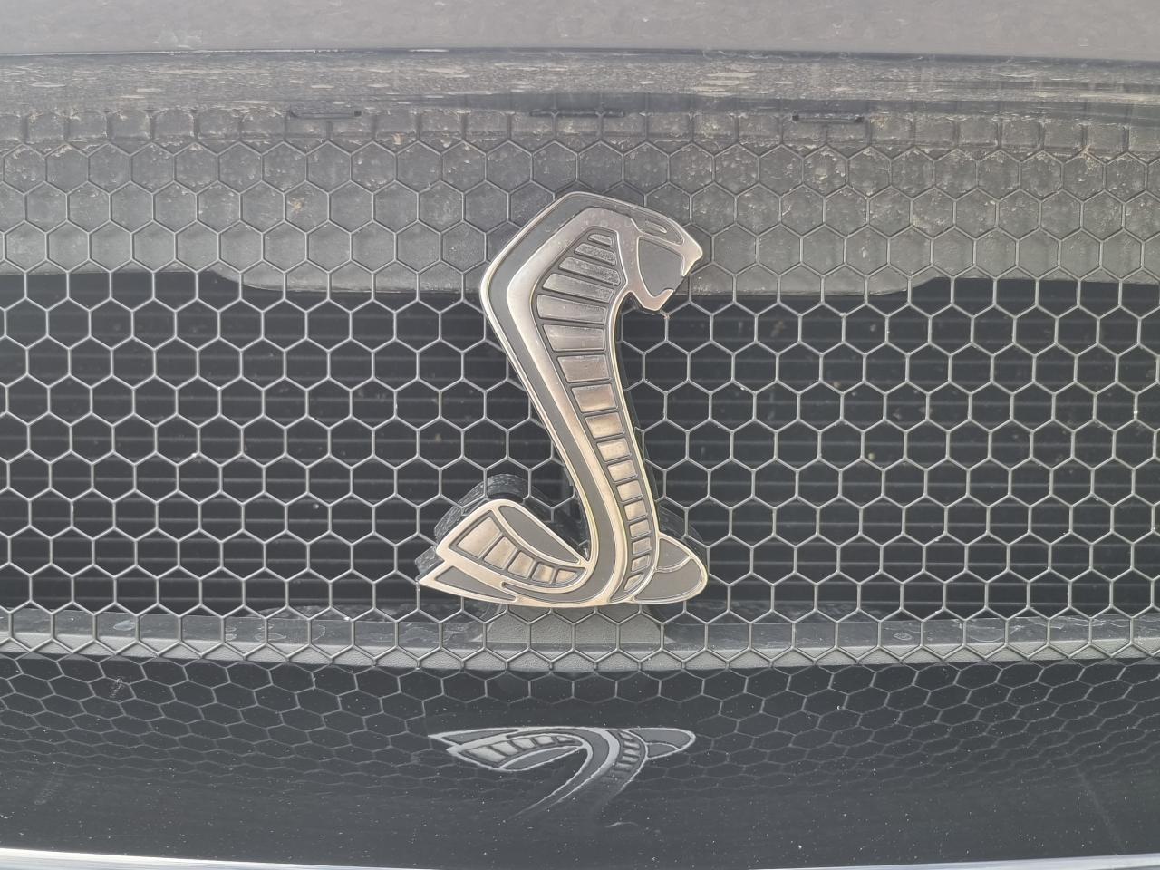 FORD MUSTANG Shelby GT500 TRACK PACK FULL CARBON PACKAGE