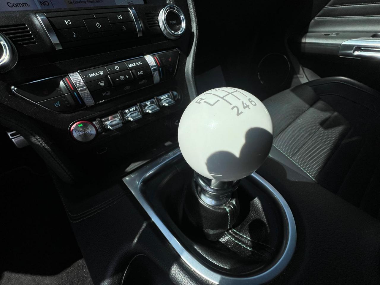 FORD MUSTANG Fastback 5.0 V8 - BULLITT - MAGNERIDE