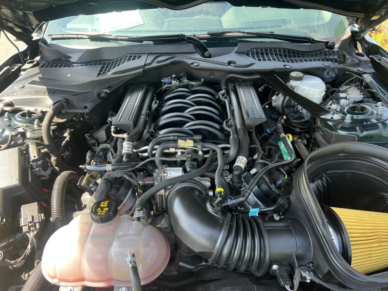 FORD MUSTANG Fastback 5.0 V8 - BULLITT - MAGNERIDE