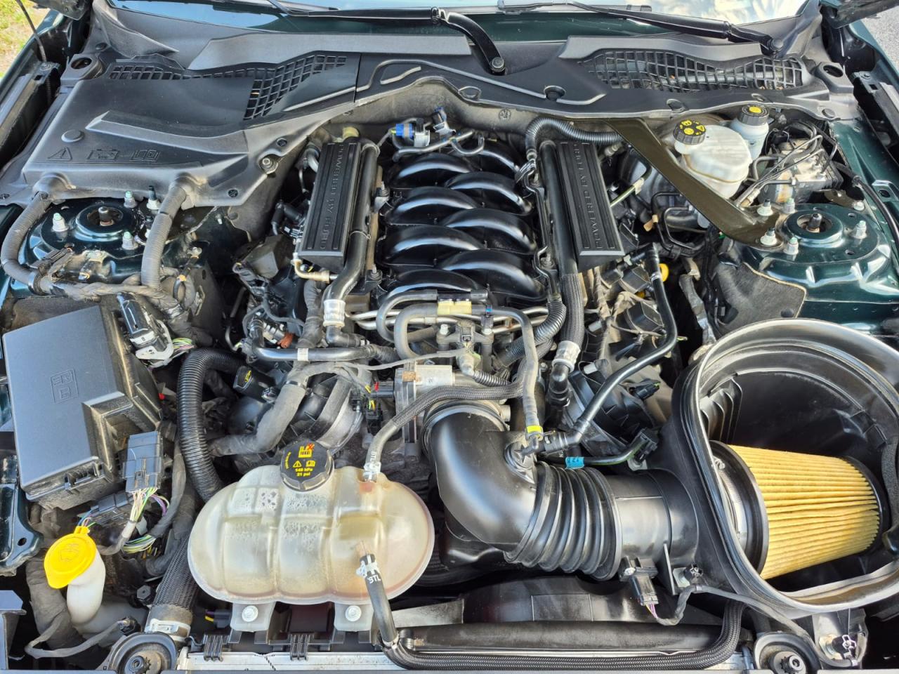 FORD MUSTANG Fastback 5.0 V8 - BULLITT