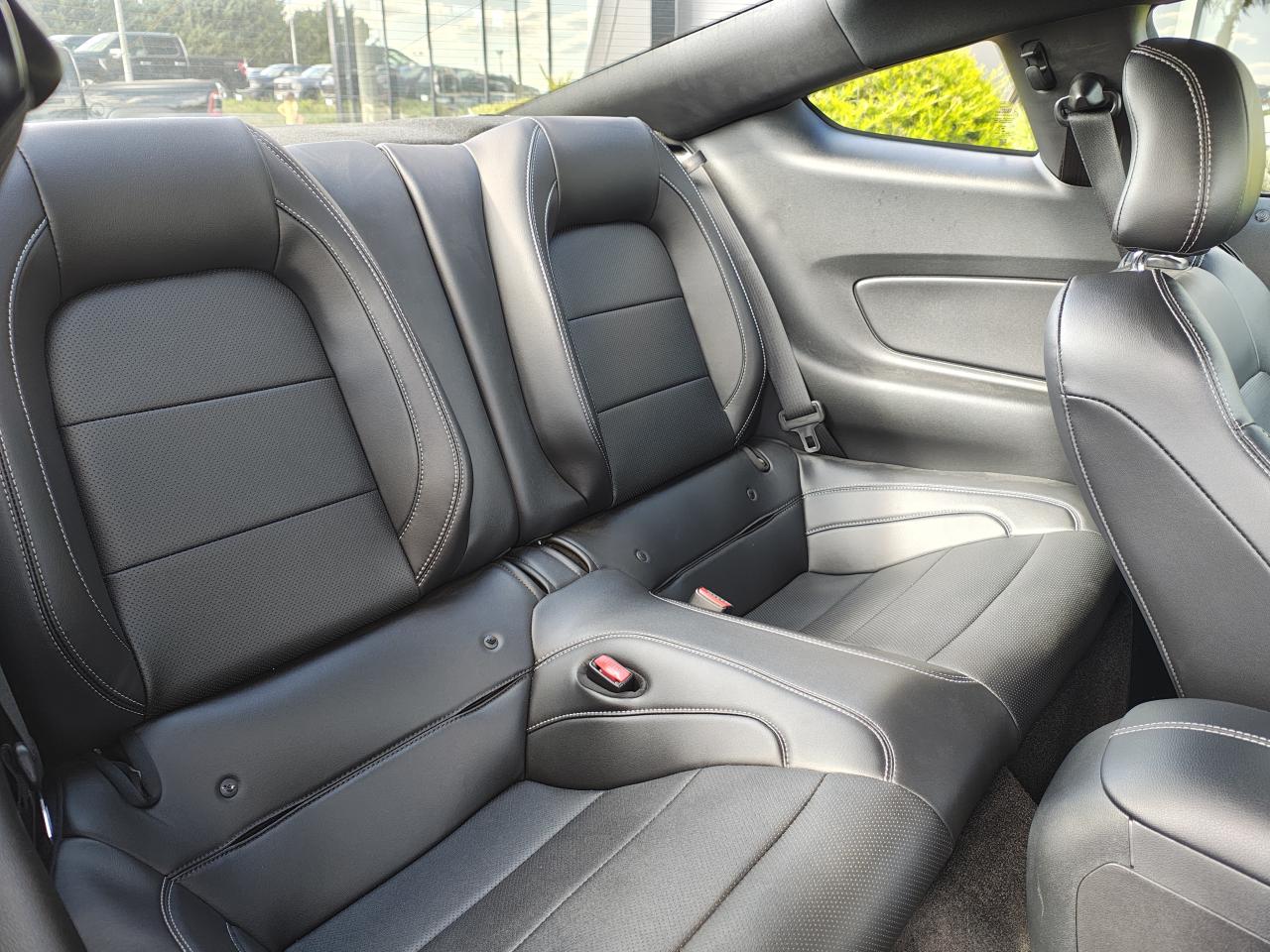 FORD MUSTANG GT Fastback V8 5.0L