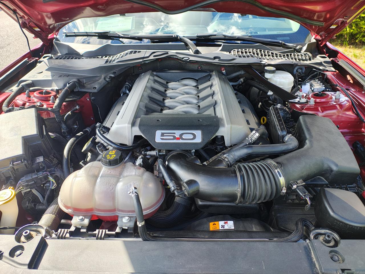 FORD MUSTANG GT Fastback V8 5.0L