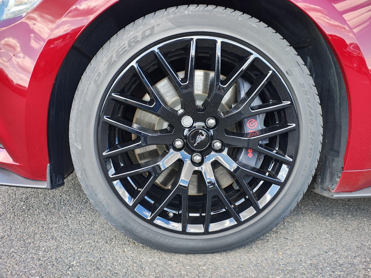 FORD MUSTANG GT Fastback V8 5.0L