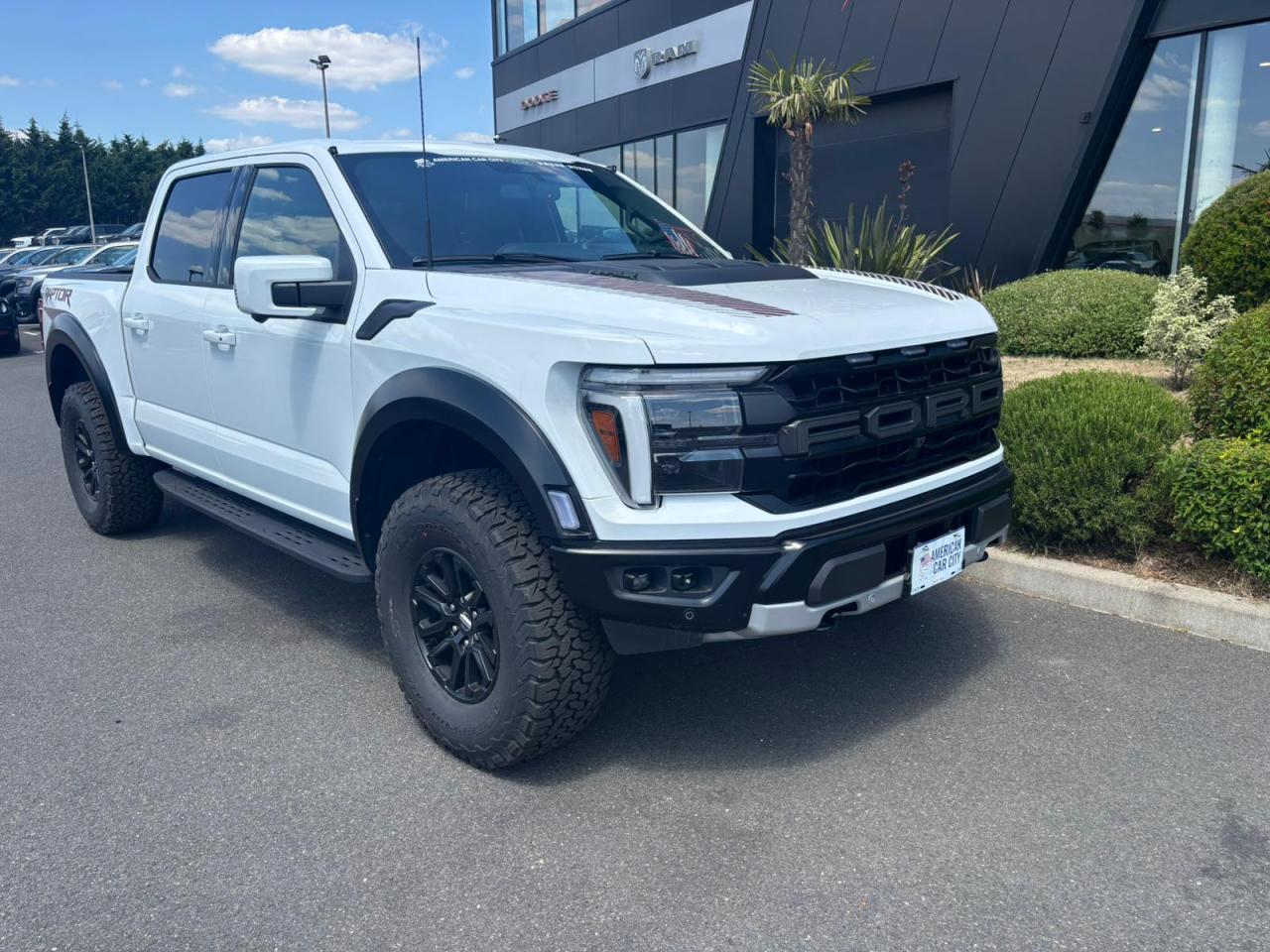 FORD F150 RAPTOR