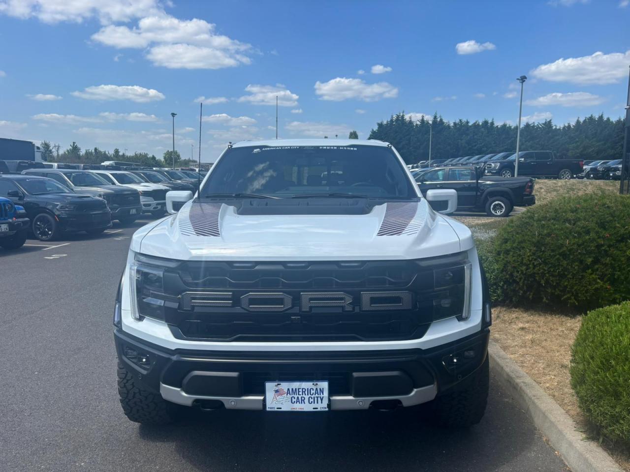 FORD F150 RAPTOR