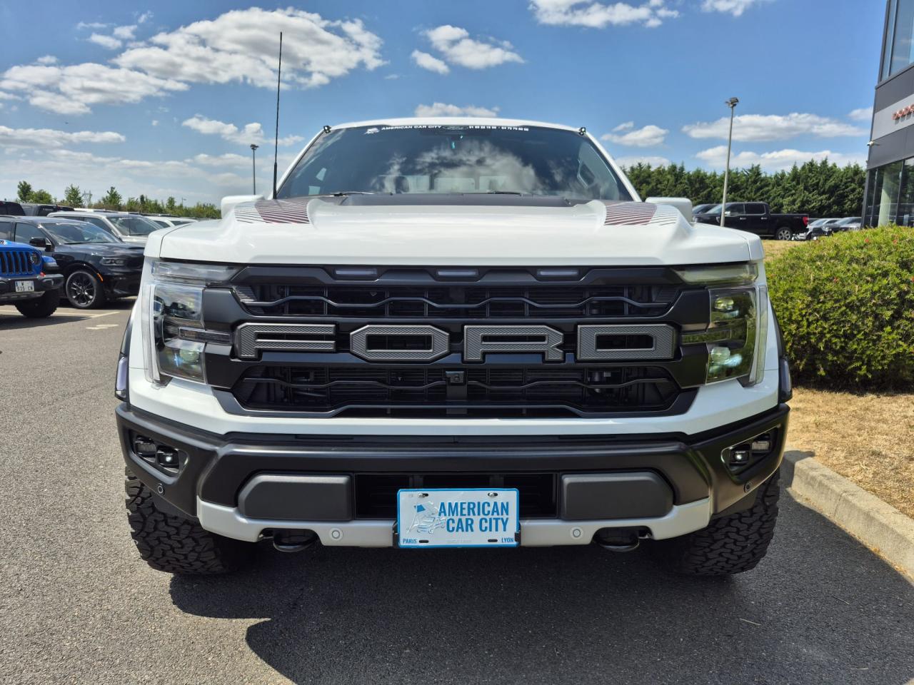FORD F150 RAPTOR