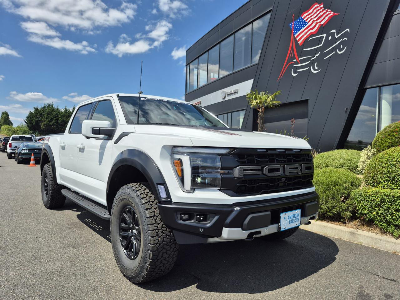 FORD F150 RAPTOR