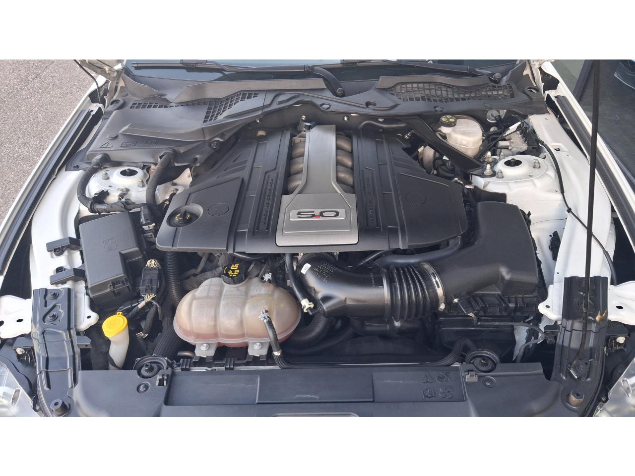 FORD MUSTANG GT CABRIOLET V8 5.0L - Pas de malus