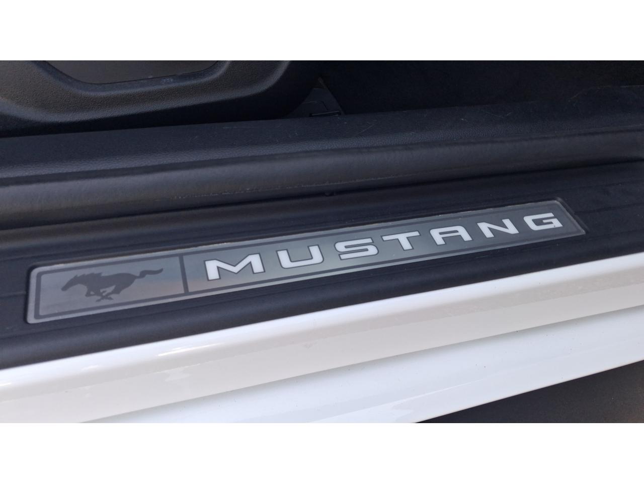 FORD MUSTANG GT CABRIOLET V8 5.0L - Pas de malus