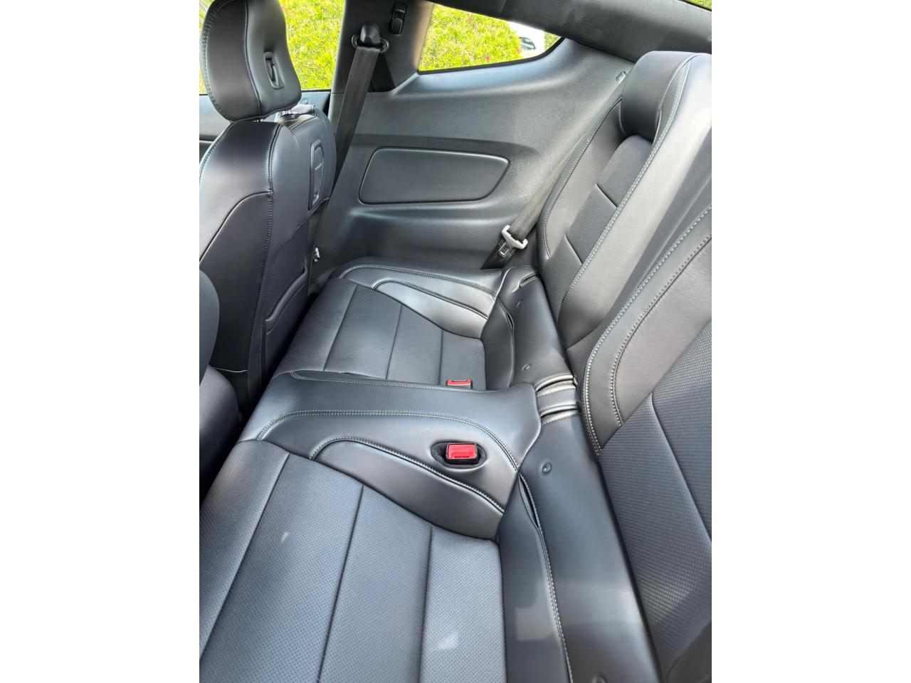 FORD MUSTANG Fastback 5.0 V8 - BULLITT - MAGNERIDE