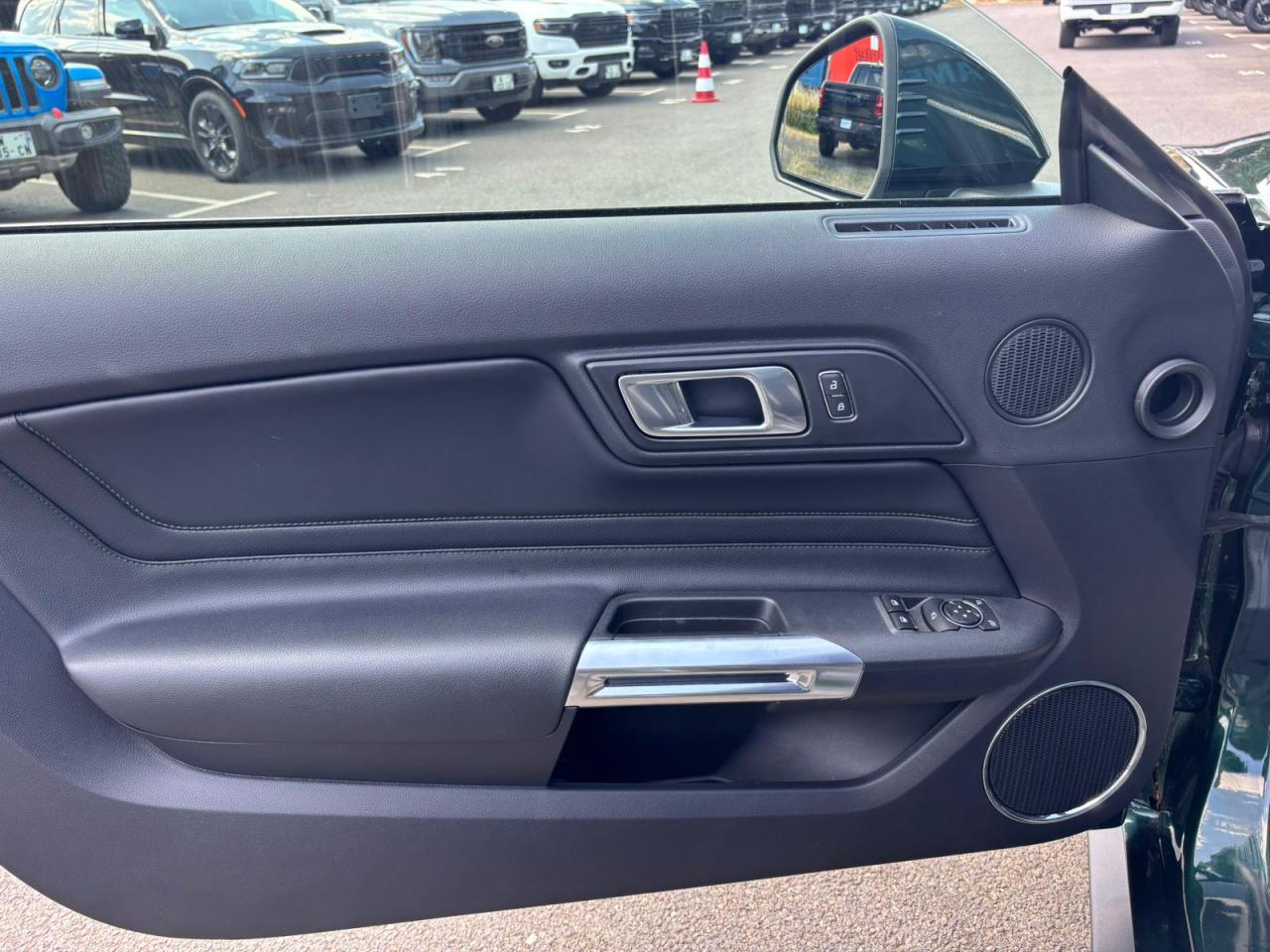 FORD MUSTANG Fastback 5.0 V8 - BULLITT - MAGNERIDE