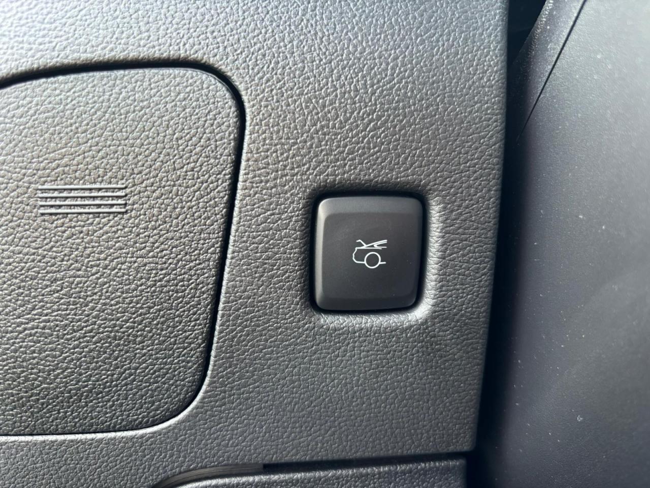 FORD MUSTANG Fastback 5.0 V8 - BULLITT - MAGNERIDE