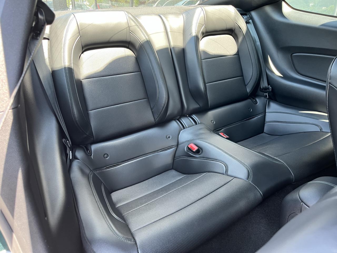 FORD MUSTANG Fastback 5.0 V8 - BULLITT - MAGNERIDE