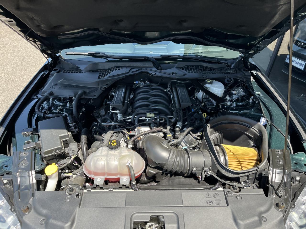 FORD MUSTANG Fastback 5.0 V8 - BULLITT - MAGNERIDE