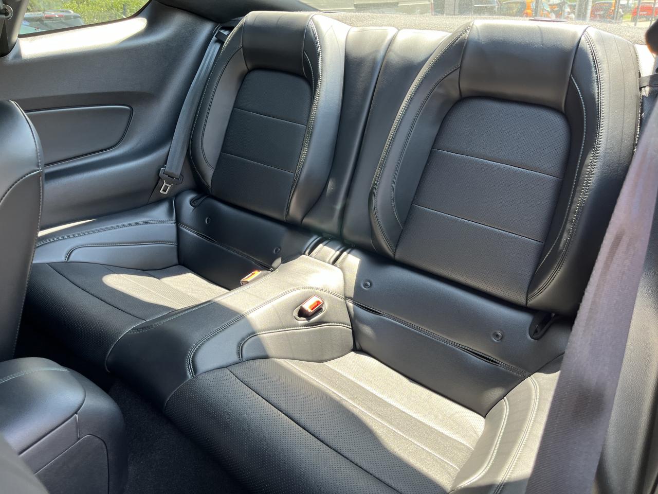 FORD MUSTANG Fastback 5.0 V8 - BULLITT - MAGNERIDE