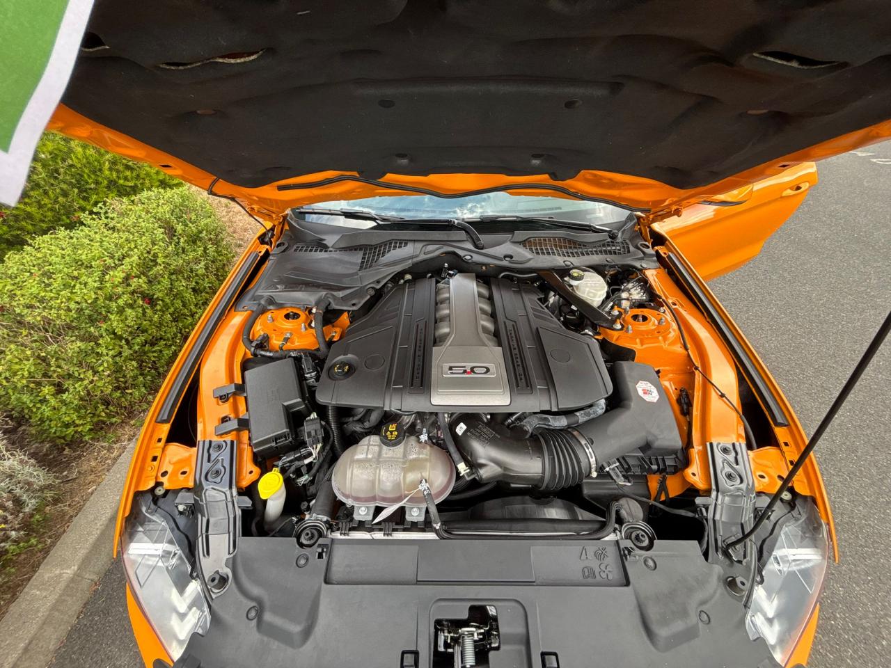 FORD MUSTANG GT CABRIOLET V8 5.0L - MAGNERIDE