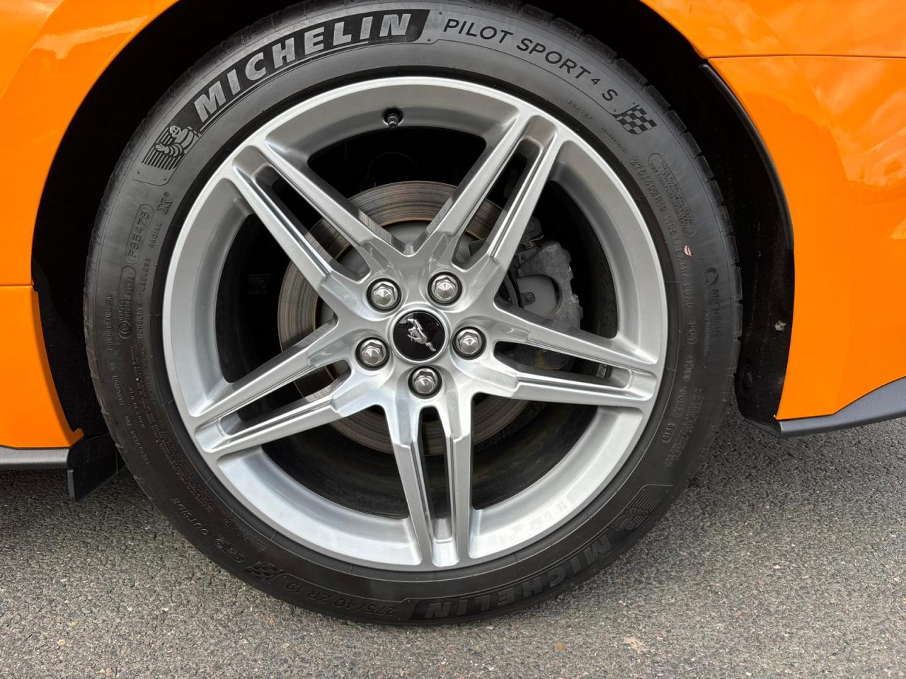 FORD MUSTANG GT CABRIOLET V8 5.0L - MAGNERIDE