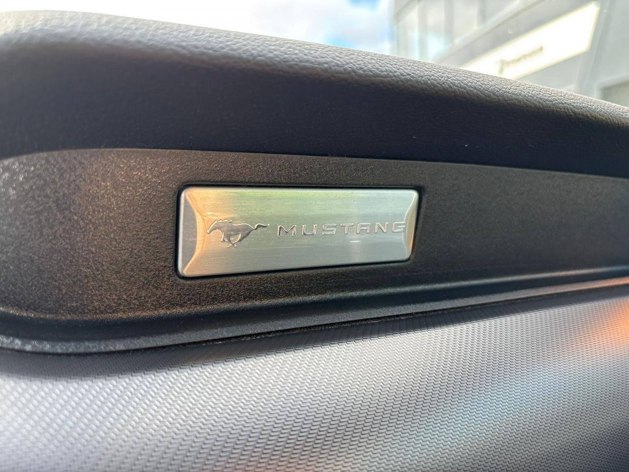 FORD MUSTANG GT CABRIOLET V8 5.0L - MAGNERIDE