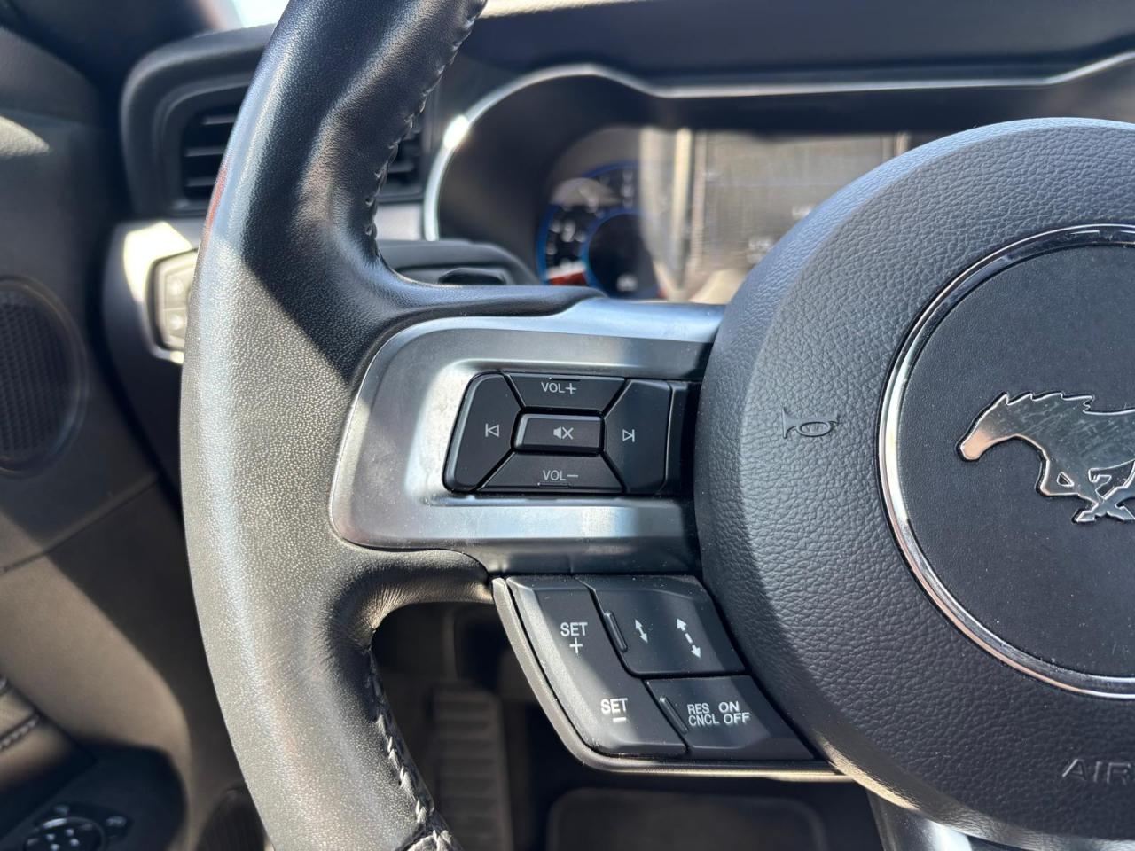 FORD MUSTANG GT CABRIOLET V8 5.0L - MAGNERIDE