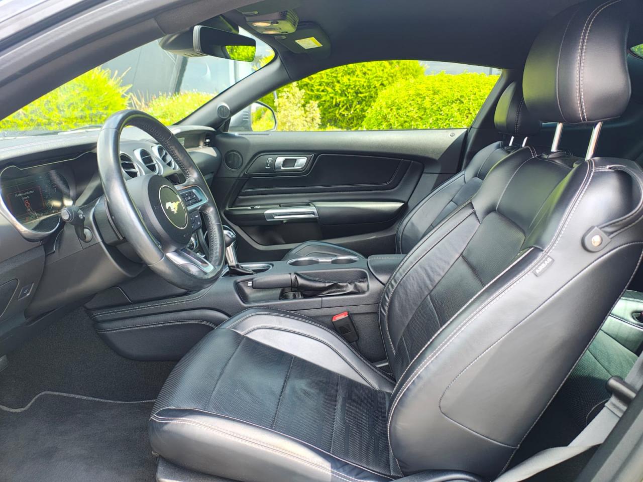 FORD MUSTANG GT fastback V8 5.0L MAGNERIDE