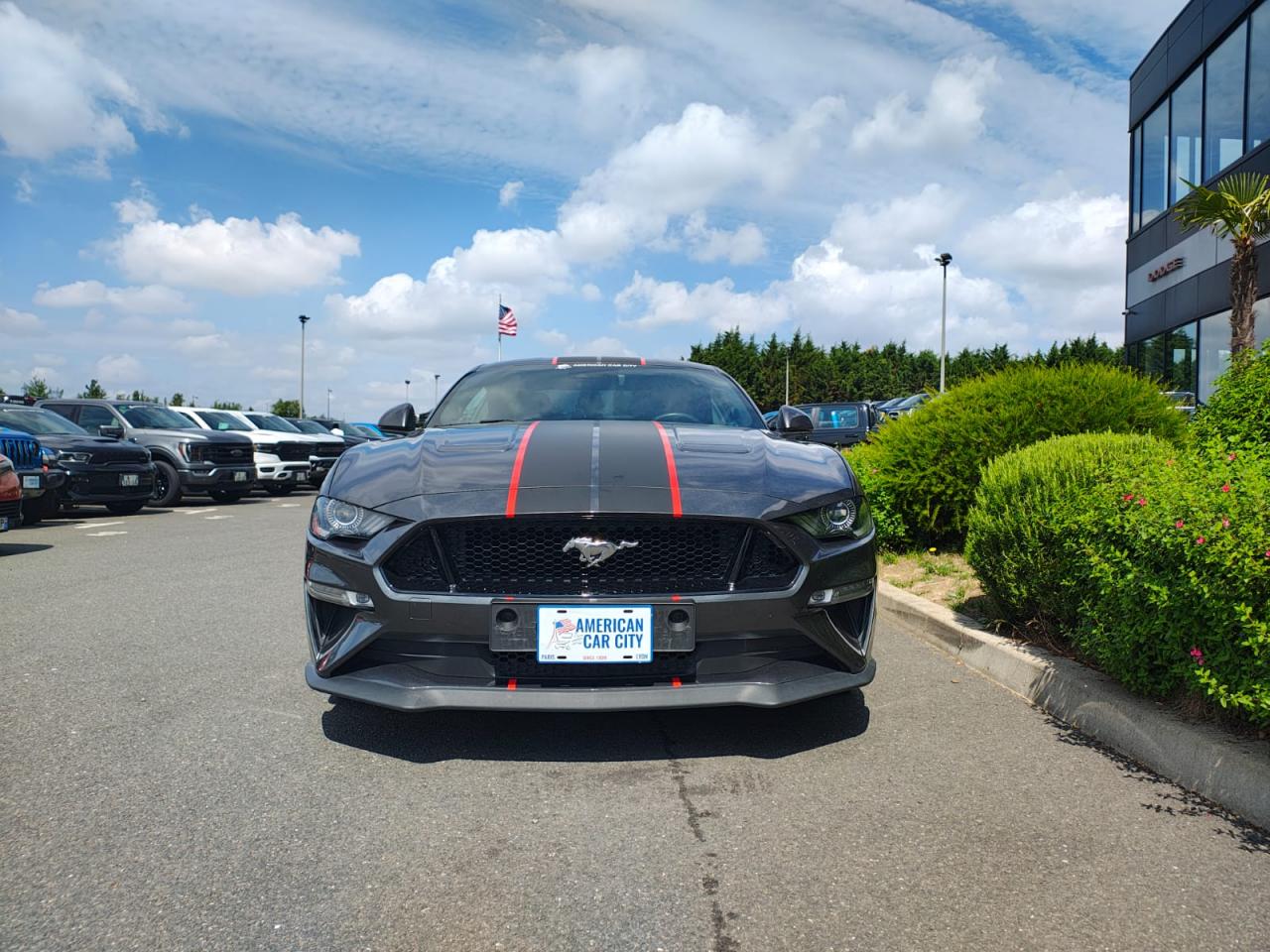 FORD MUSTANG GT fastback V8 5.0L MAGNERIDE