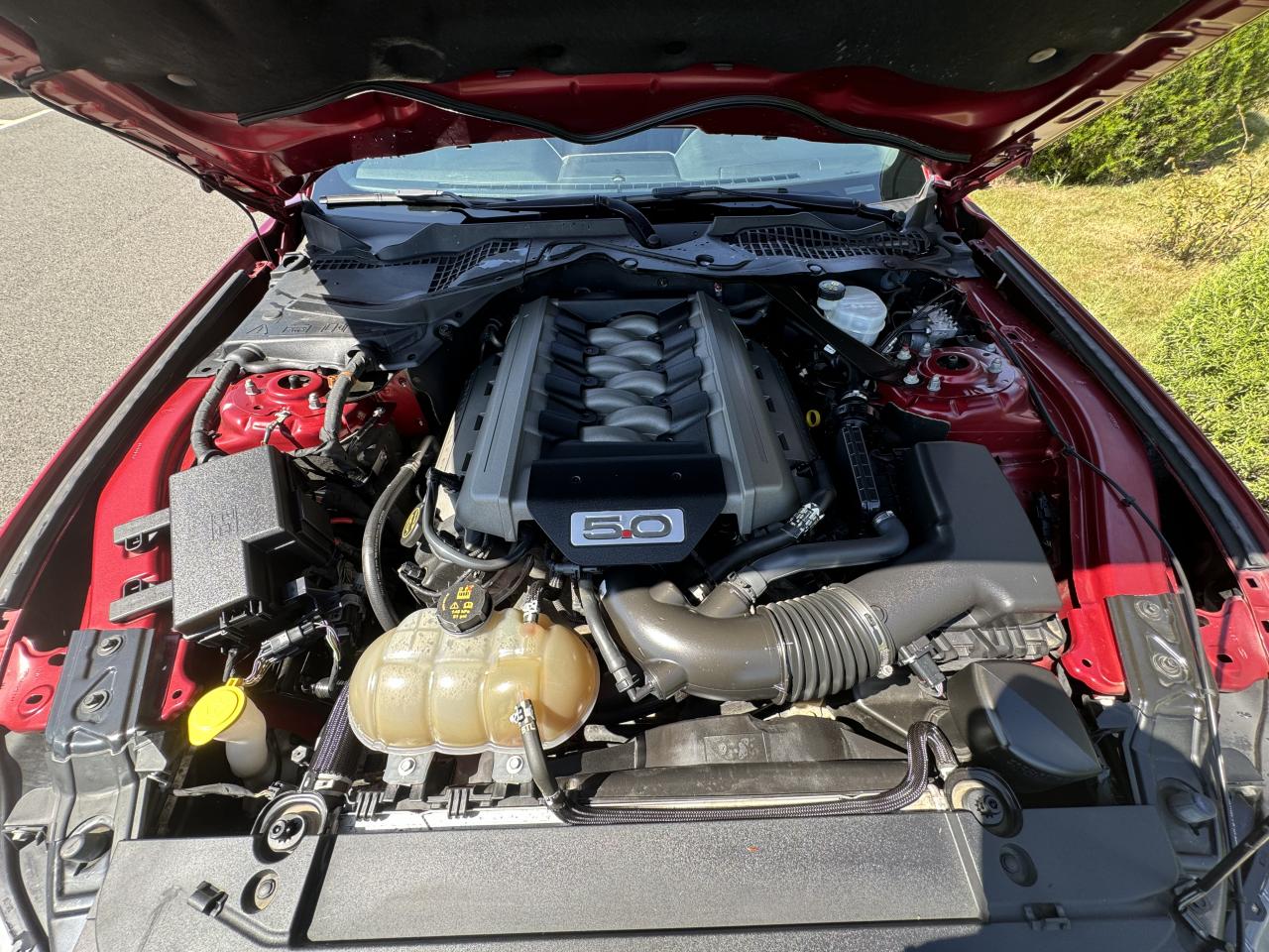 FORD MUSTANG GT Fastback V8 5.0L - Pas de malus