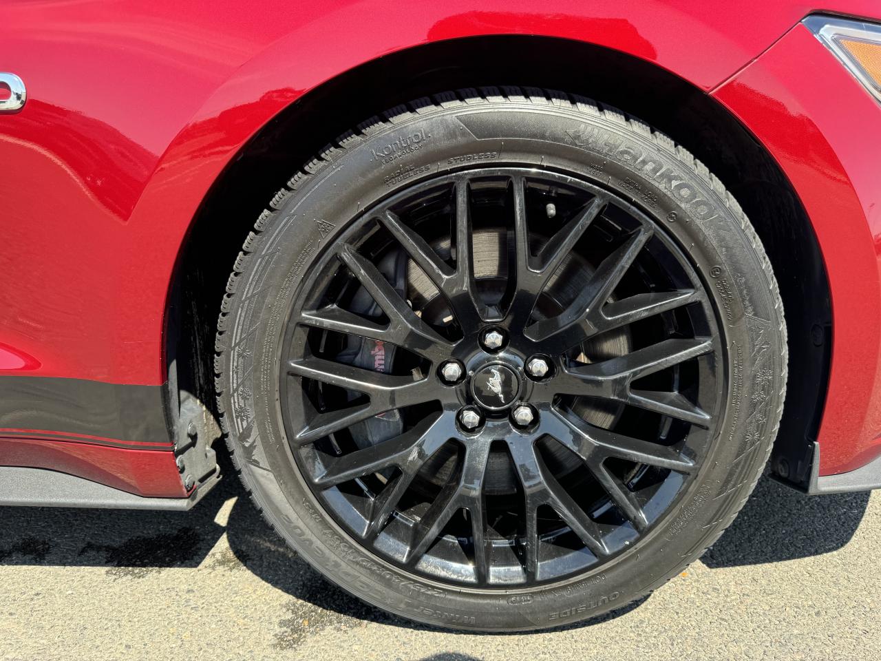 FORD MUSTANG GT Fastback V8 5.0L - Pas de malus