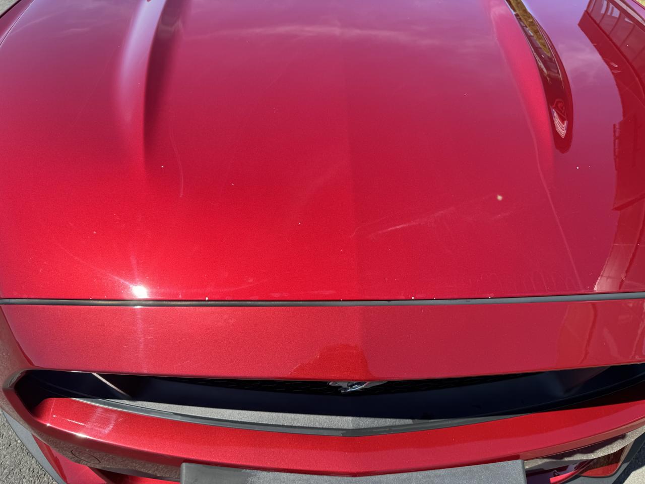 FORD MUSTANG GT Fastback V8 5.0L - Pas de malus