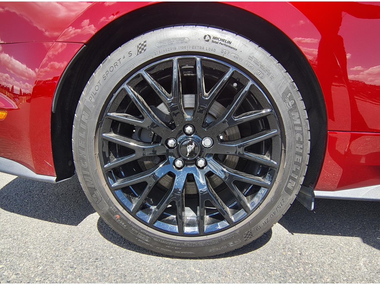 FORD MUSTANG GT fastback V8 5.0L