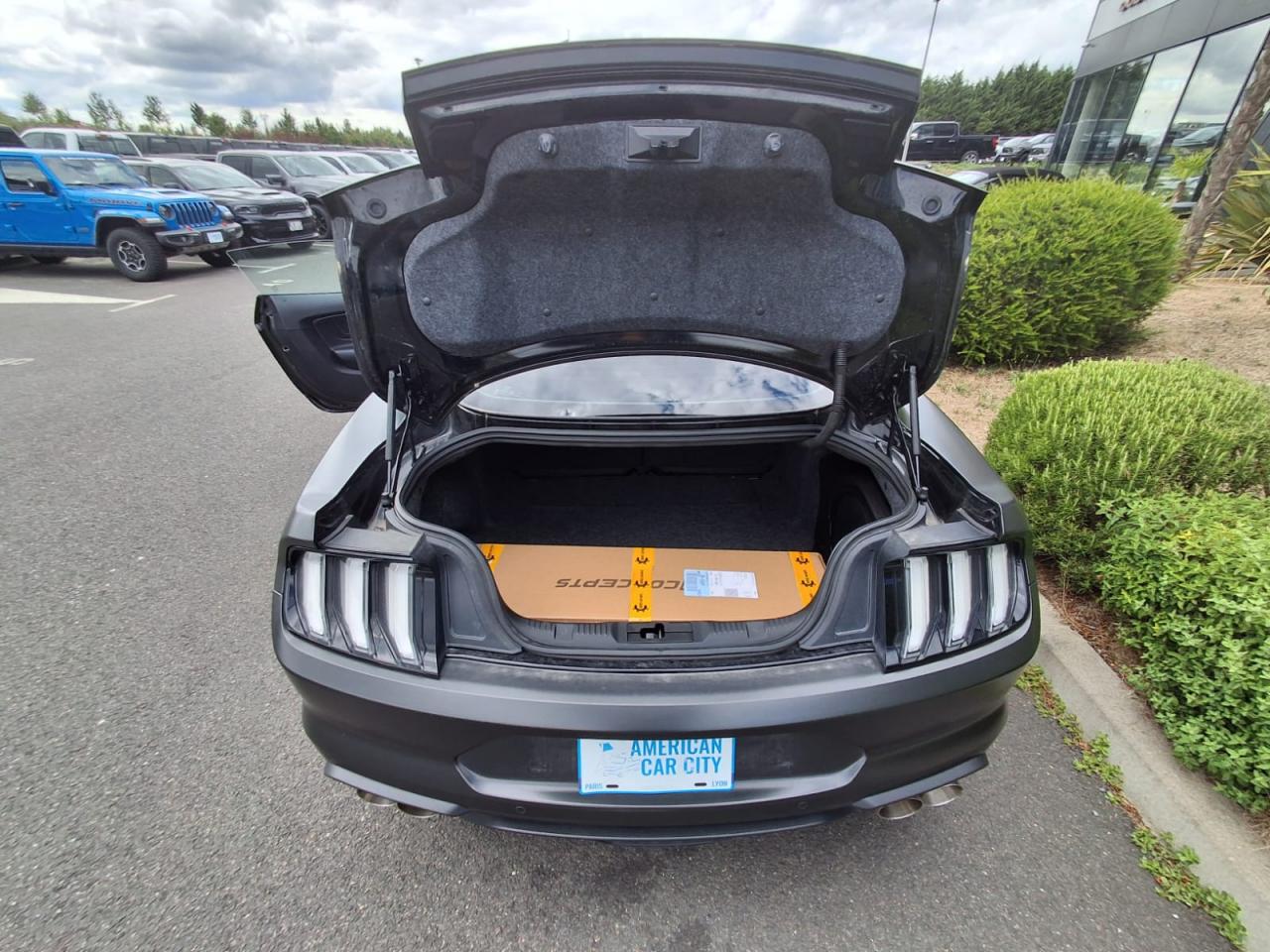 FORD MUSTANG GT FASTBACK 5.0L V8 450ch BVA10
