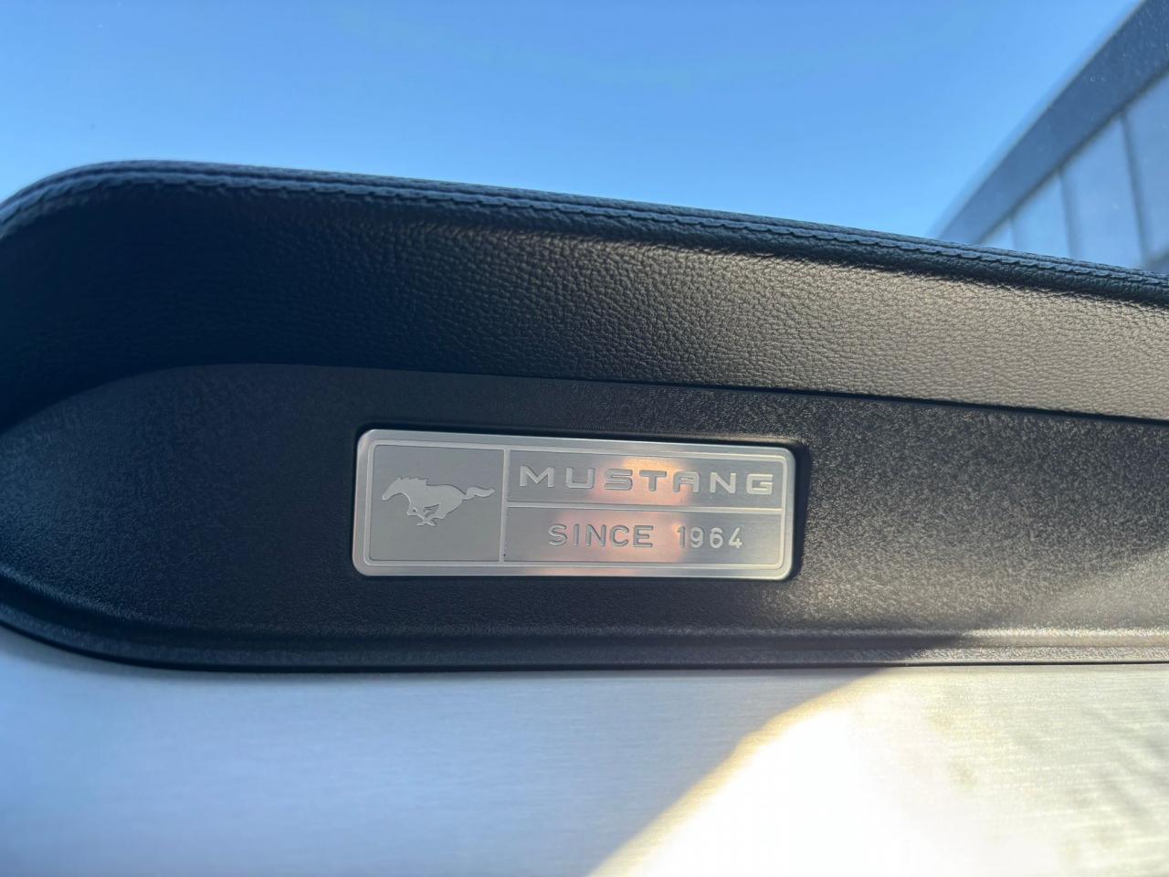 FORD MUSTANG GT CABRIOLET V8 5.0L BVA