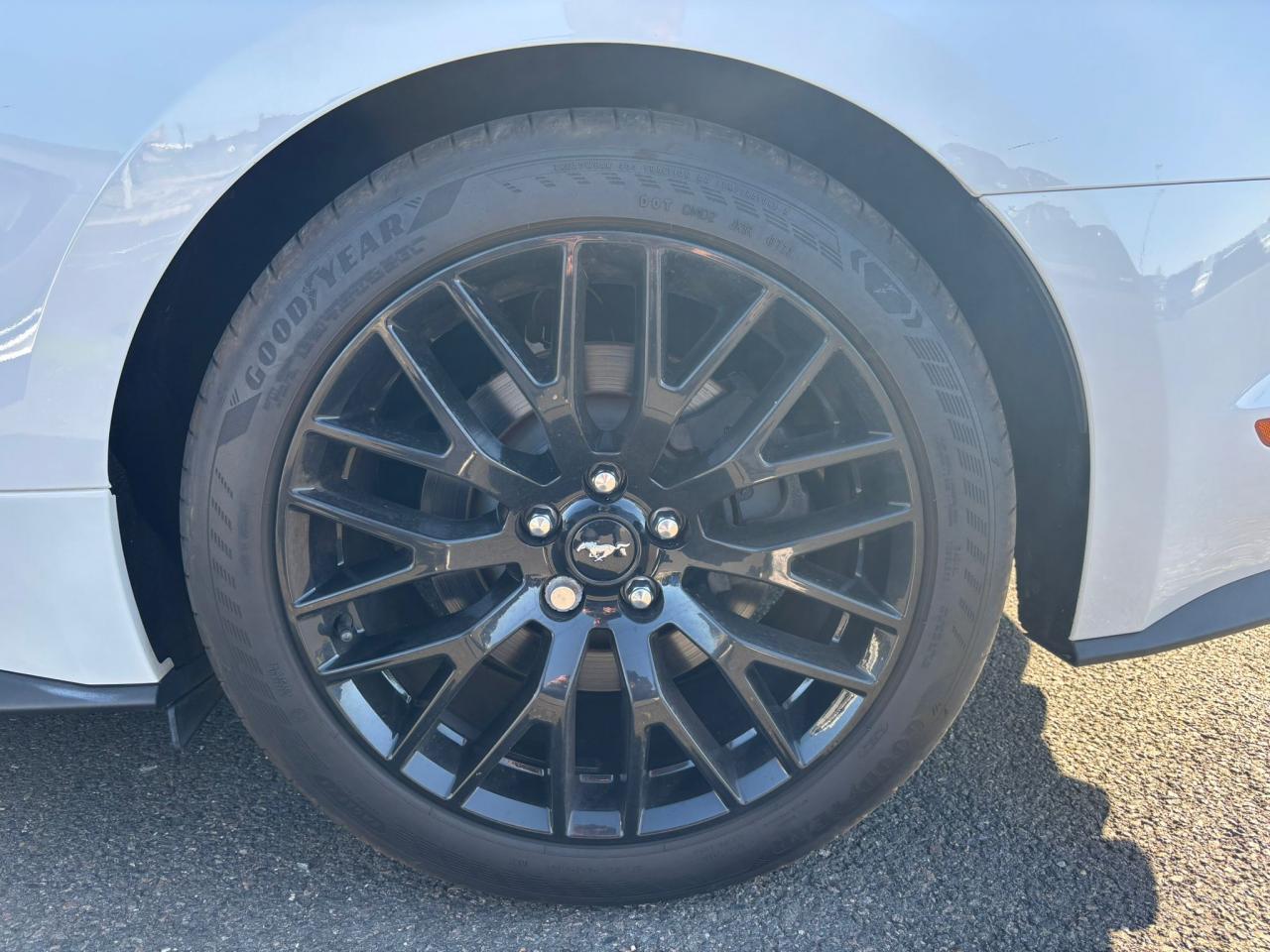 FORD MUSTANG GT CABRIOLET V8 5.0L BVA